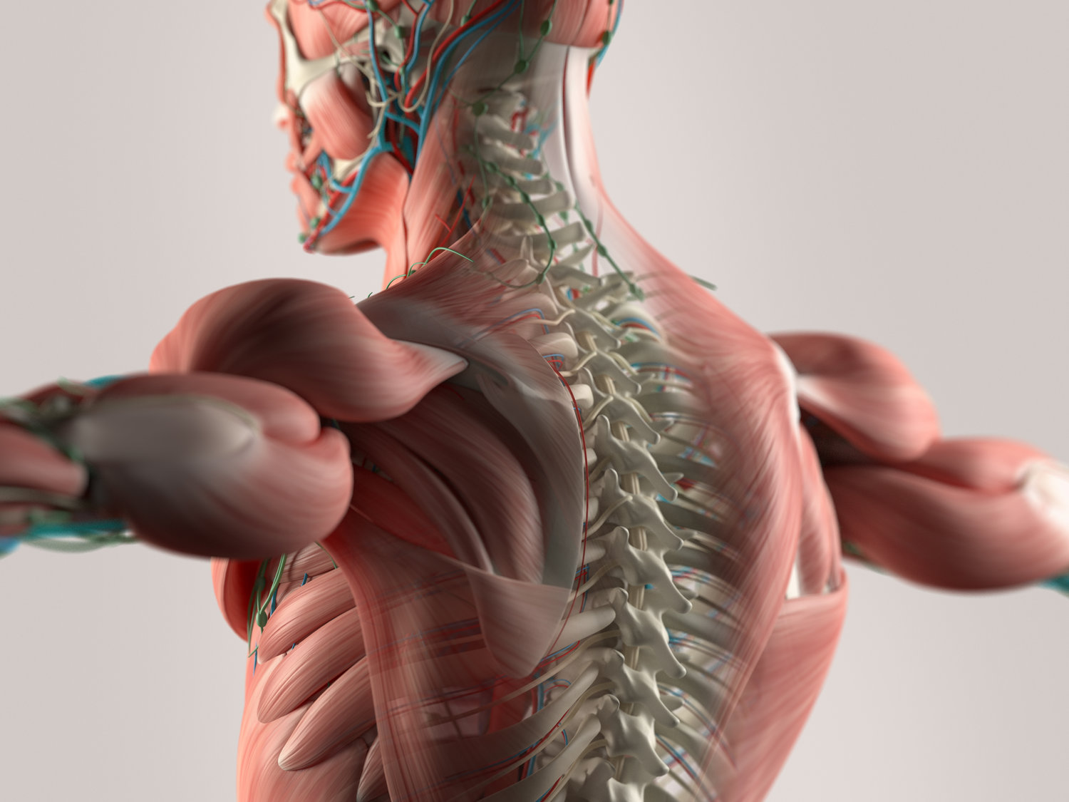 Suggestions and advice on How to Control Your Back Pain: